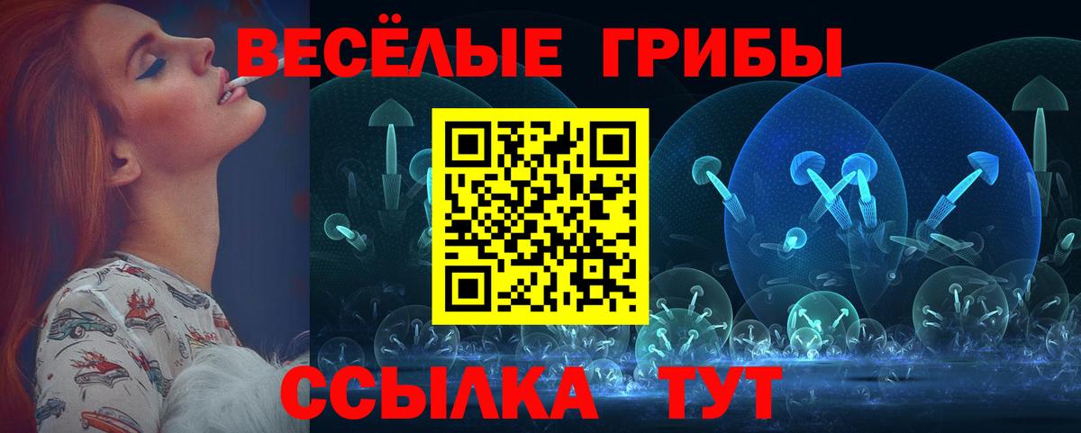 Галлюциногенные грибы мухоморы  Вход с VPN  Рузаевка 